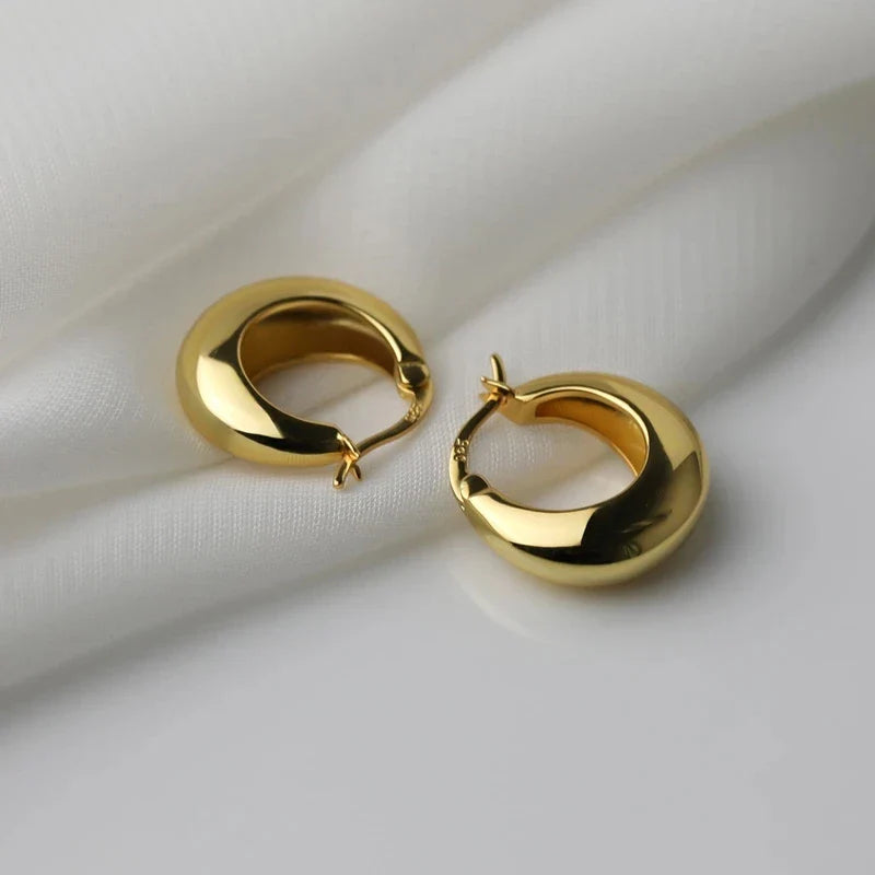 925 Sterling Silver plated Chunky Hoop Earrings for Women Geometric Circle Punk Ear Jewelry Party Gifts 2021 New Dropshipping