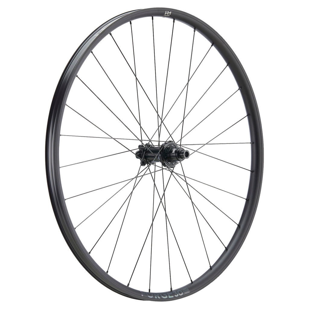NEWMEN Rear Wheel - Forge 30 base 29" 28h FADE SP 6B 12x148 XD - Trail