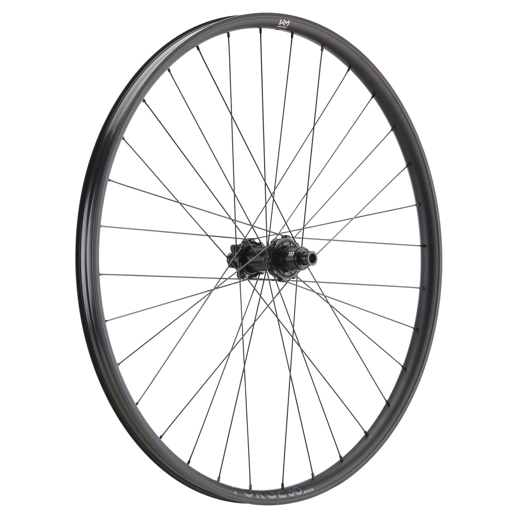 NEWMEN Front Wheel - Forge 30 strong 29" 32h FADE SP 6B 15-20x110 - Enduro
