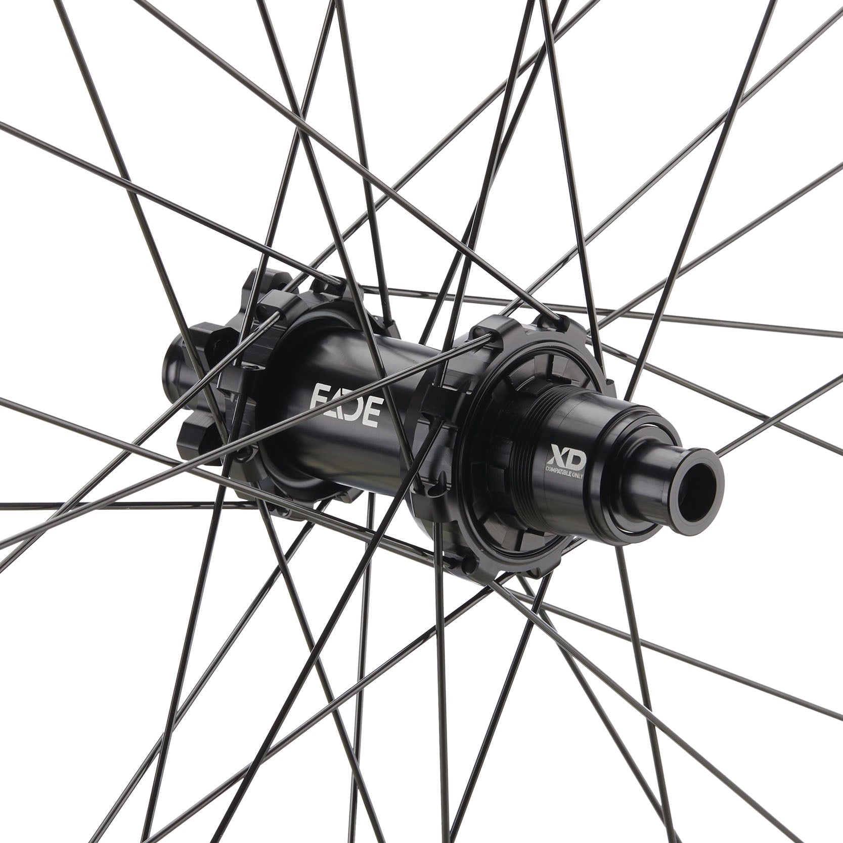 NEWMEN - Wheel (Rear) - Forge 30 Strong | Enduro - [D]