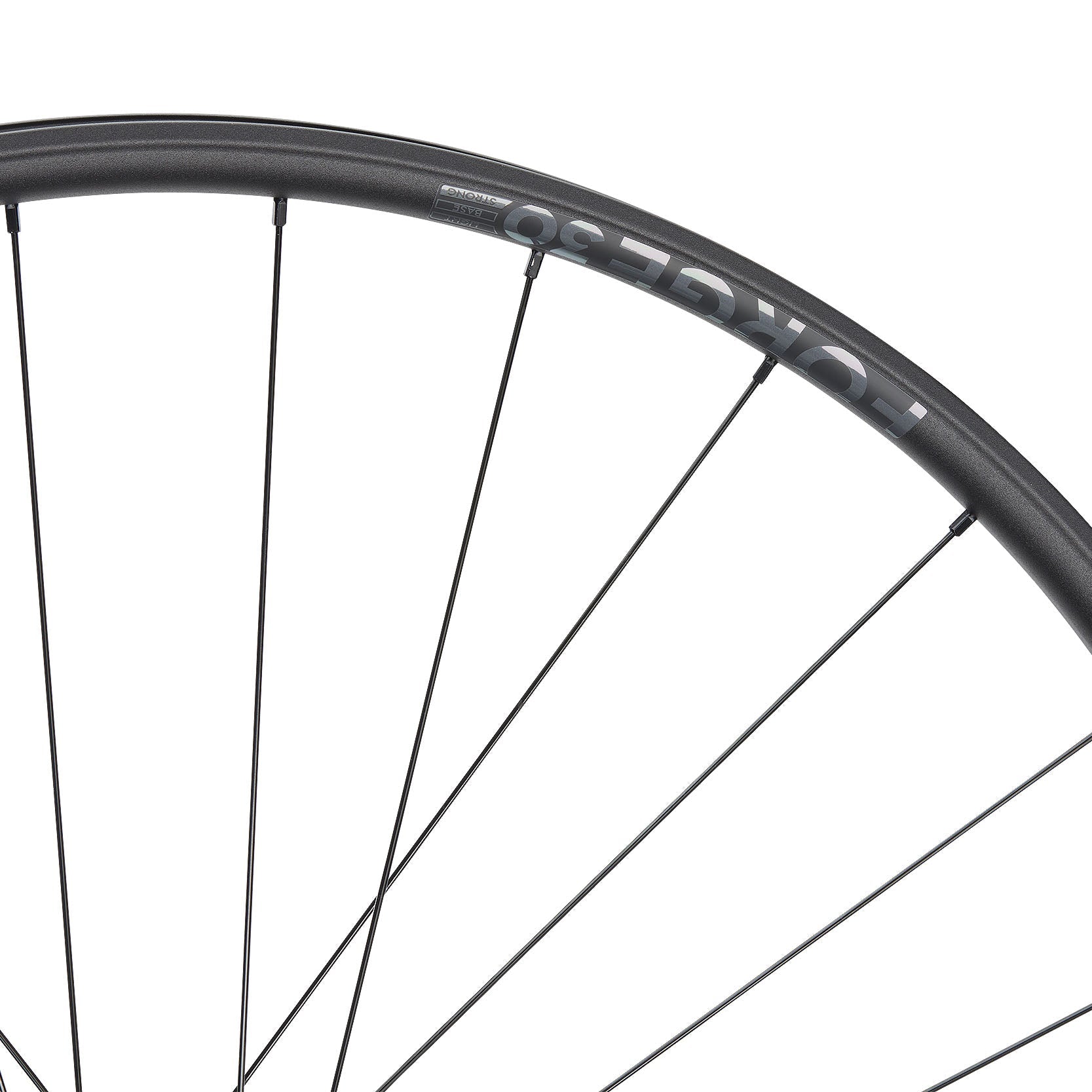 NEWMEN - Wheel (Front) - Forge 30 DH | Downhill - [D]