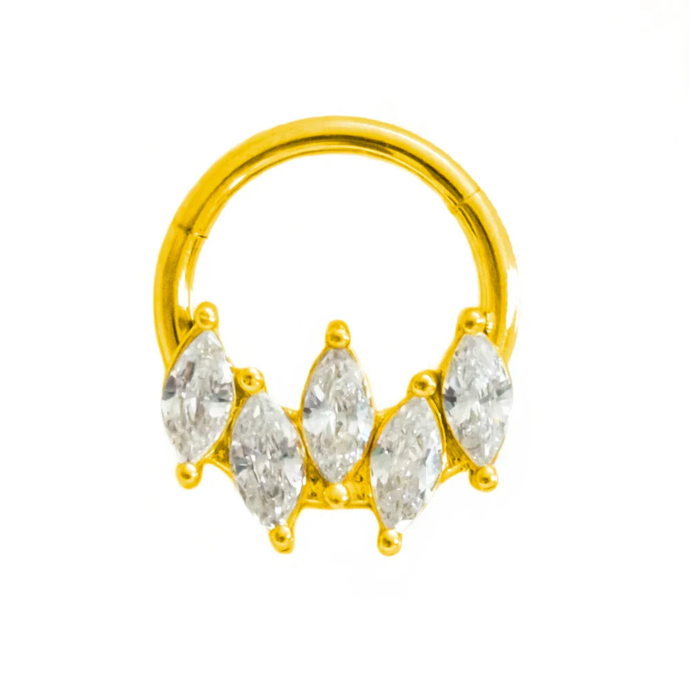 316L Surgical Steel Segment Nose Ring Zircon Septum Clicker Ear Cartilage Helix Daith Hoop Body  Piercing Jewelry