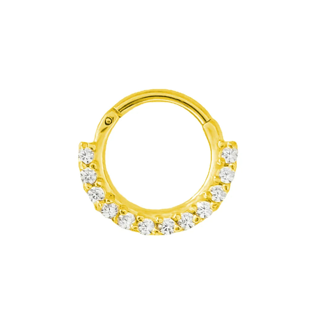 316L Surgical Steel Segment Nose Ring Zircon Septum Clicker Ear Cartilage Helix Daith Hoop Body  Piercing Jewelry