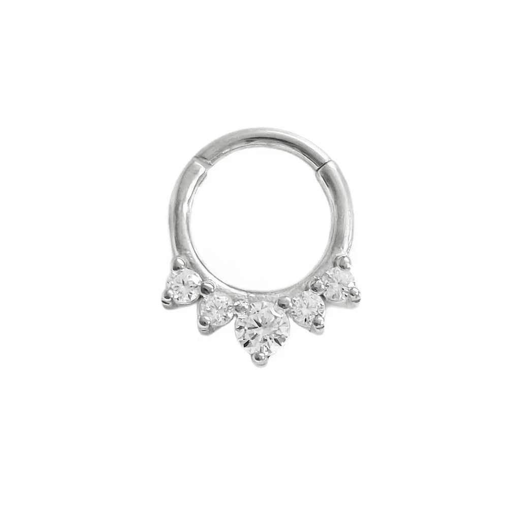 316L Surgical Steel Segment Nose Ring Zircon Septum Clicker Ear Cartilage Helix Daith Hoop Body  Piercing Jewelry