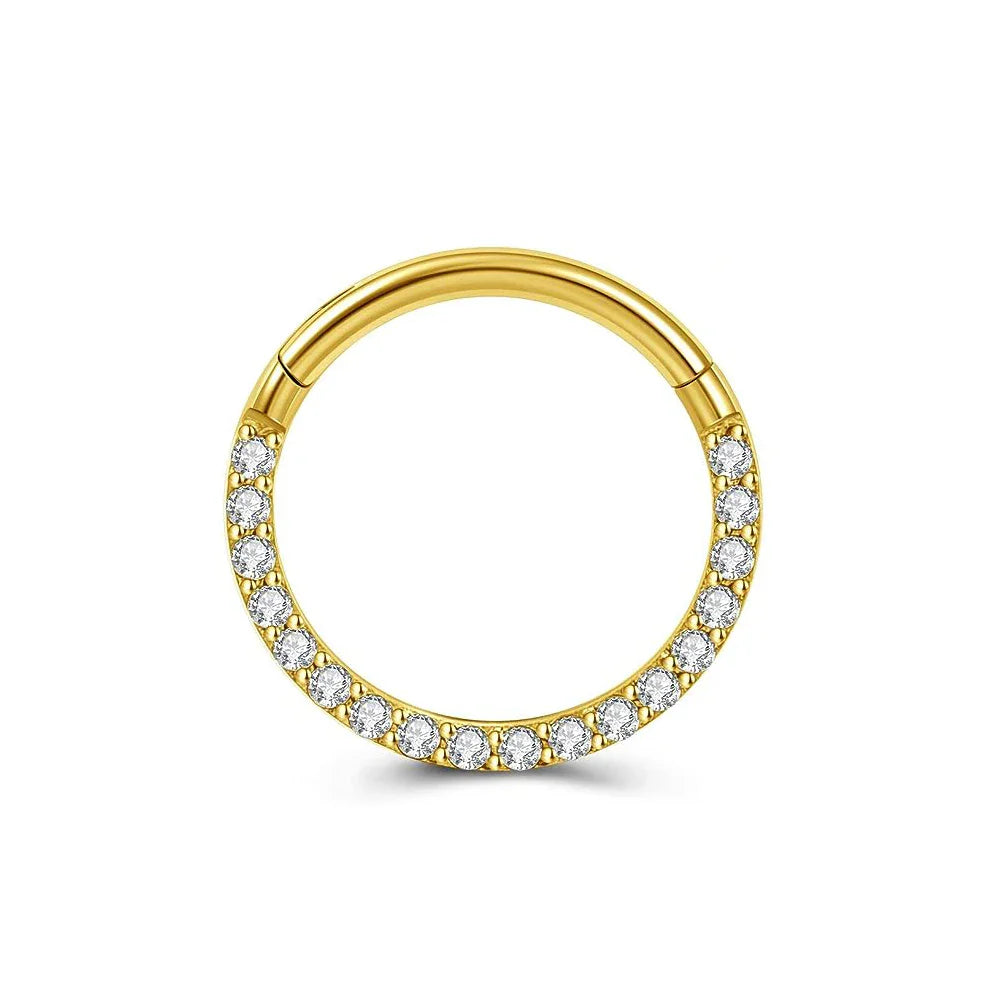 316L Surgical Steel Segment Nose Ring Zircon Septum Clicker Ear Cartilage Helix Daith Hoop Body  Piercing Jewelry