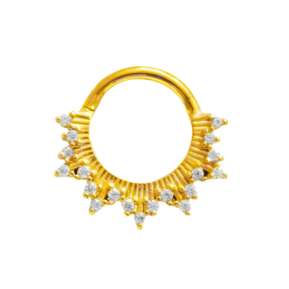 316L Surgical Steel Segment Nose Ring Zircon Septum Clicker Ear Cartilage Helix Daith Hoop Body  Piercing Jewelry