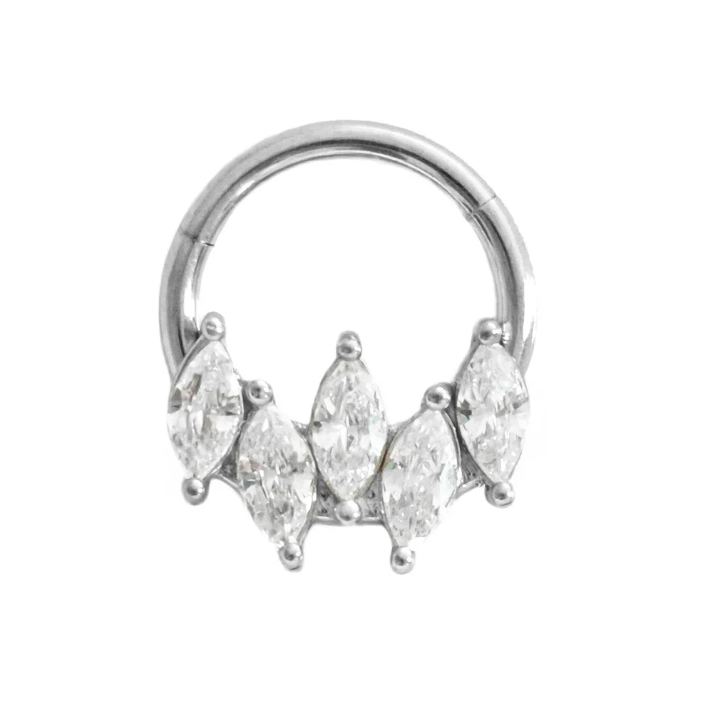 316L Surgical Steel Segment Nose Ring Zircon Septum Clicker Ear Cartilage Helix Daith Hoop Body  Piercing Jewelry