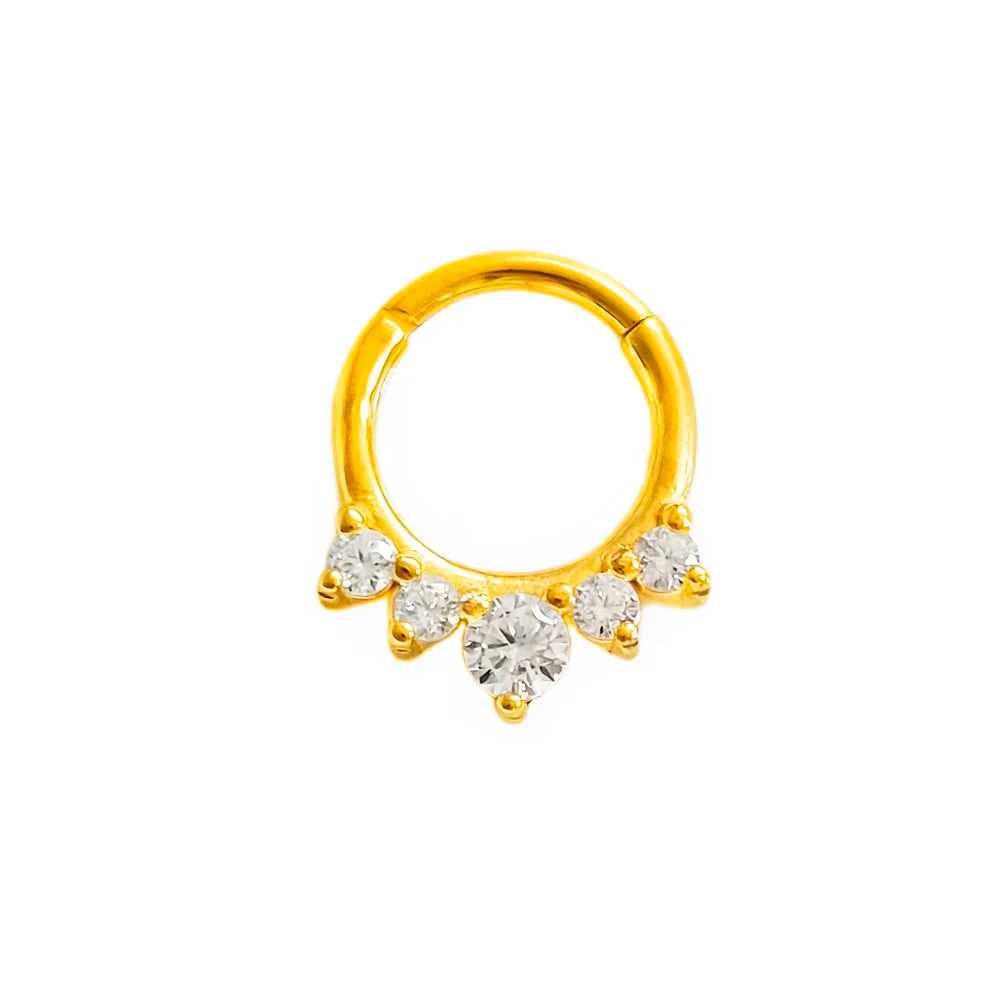316L Surgical Steel Segment Nose Ring Zircon Septum Clicker Ear Cartilage Helix Daith Hoop Body  Piercing Jewelry