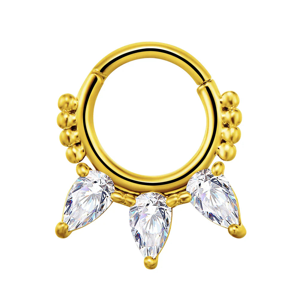 316L Surgical Steel Segment Nose Ring Zircon Septum Clicker Ear Cartilage Helix Daith Hoop Body  Piercing Jewelry